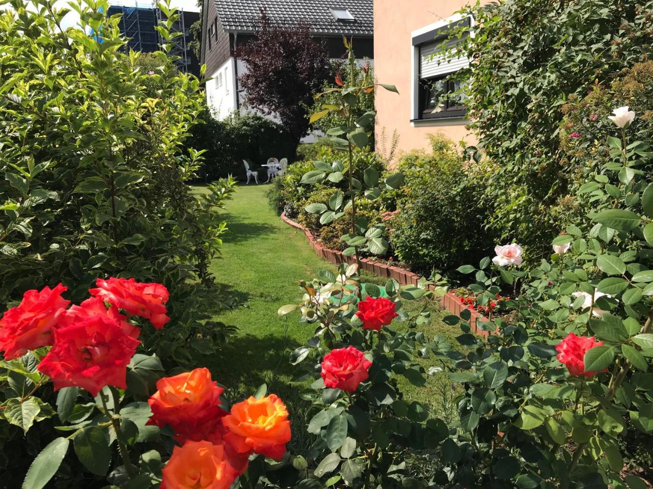 Ferienwohnung Schaeffer Řezno Exteriér fotografie